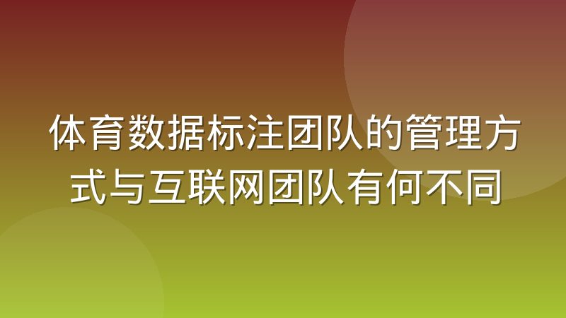 体育数据标注团队的管理方式与互联网团队有何不同